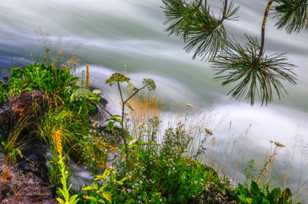 Deschutes River-1426